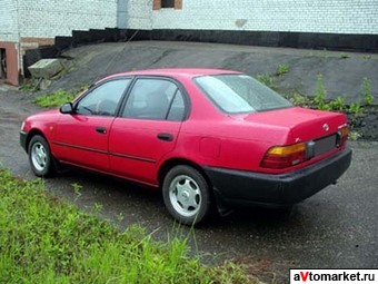 1997 Toyota Corolla Pictures