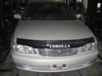 1998 Toyota Corolla