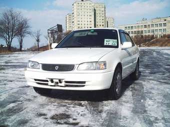1998 Corolla