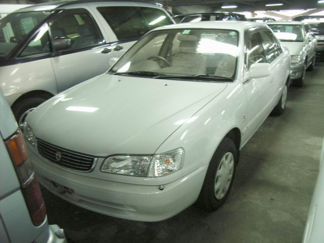 1998 Toyota Corolla Images