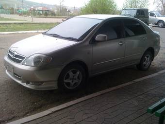 2002 Toyota Corolla Pictures