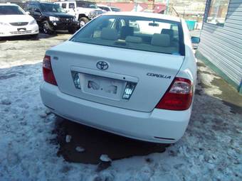 2005 Toyota Corolla Pictures