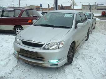 2002 Toyota Corolla Runx Pictures