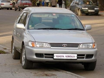 1999 Toyota Corolla Wagon Pictures