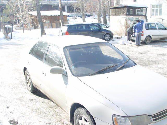 1993 Toyota Corona