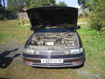 Toyota Vista