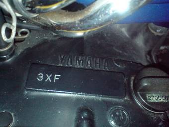 1993 Yamaha FZX Pics