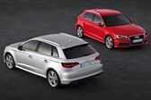 Audi A3 Sportback (8V) 2.0 TDI (150 Hp) clean diesel 2013 - 2016