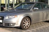 Audi A4 (B7 8E) 2.5 TDI V6 (163 Hp) 2004 - 2007