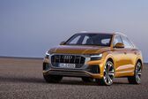 Audi Q8 2018 - present