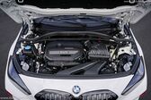BMW 1 Series Hatchback (F40) 116i (109 Hp) Steptronic 2020 - present
