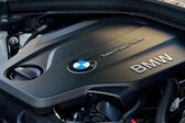 BMW 3 Series Touring (F31 LCI, Facelift 2015) 318d (150 Hp) Steptronic 2015 - 2019