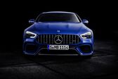 Mercedes-Benz AMG GT 4-Door Coupe 2018 - present