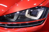 Volkswagen Golf VII 1.6 TDI (110 Hp) 4MOTION 2013 - 2017