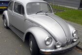 Volkswagen Kaefer 1600 i (Mexico) (46 Hp) 1992 - 2000